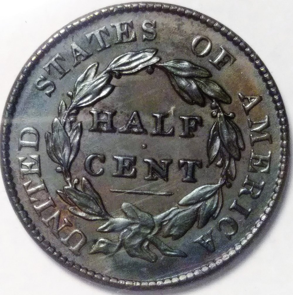 1828-Half-Cent-13-Stars